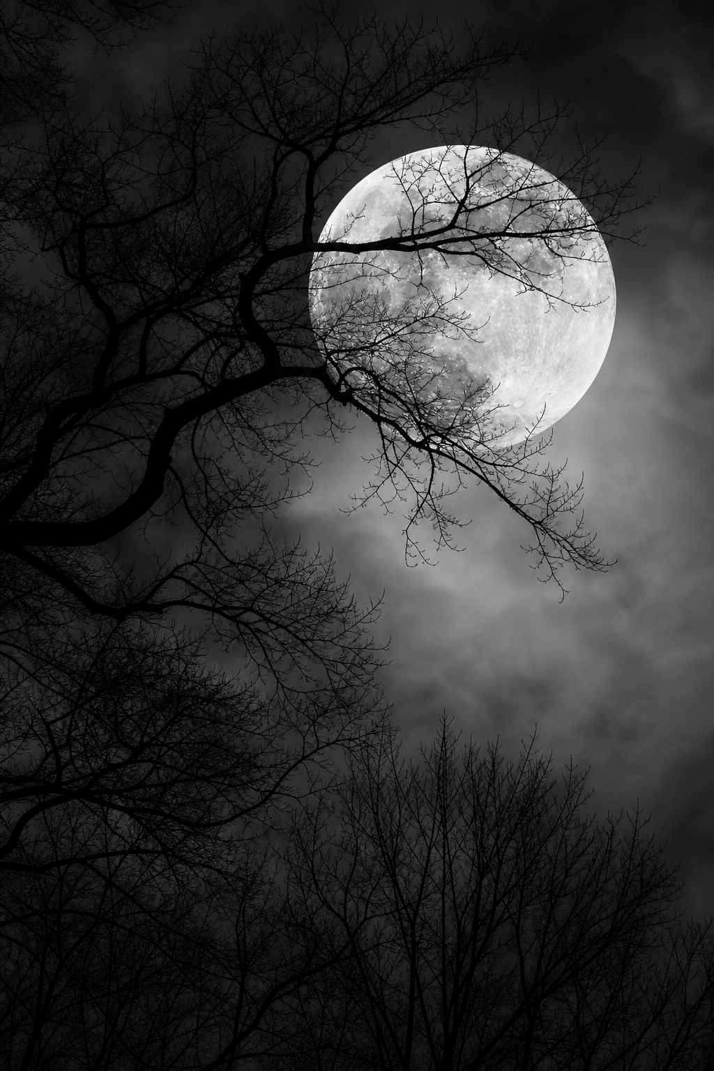 Monochrome Winter Moonlit Branches - Wall Art Print