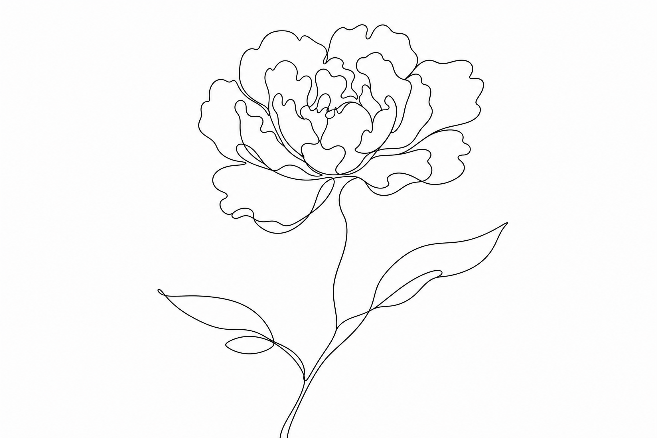 Minimalist Peony Line Art - Wall Art Print
